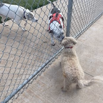 Ruby Grant Dog Park photo 1